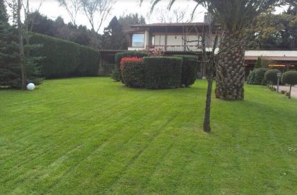 jardin atlantico diseño para restaurante