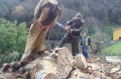 presupuestos poda de arboles bizkaia