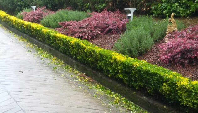 acondicionamiento de jardin en bizkaia