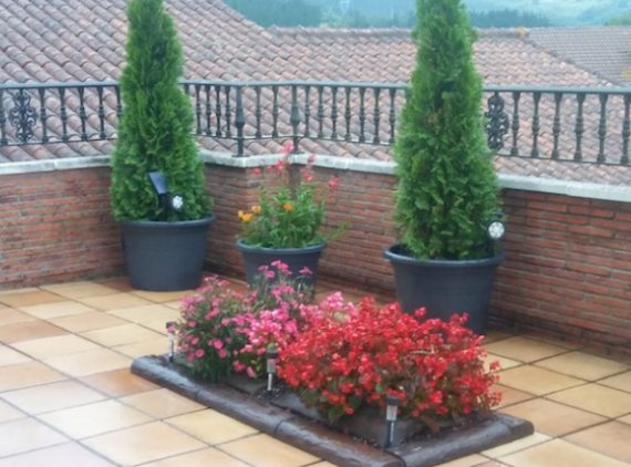 jardineria en bizkaia decoracion de terrazas
