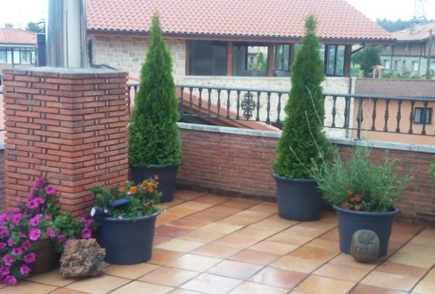 jardineria para deorar terrazas