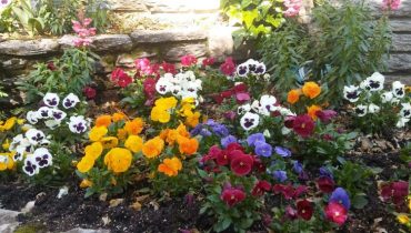 flores de temporada para decirar tu jardin