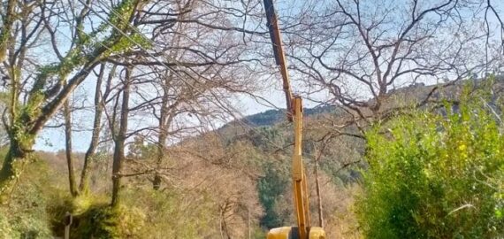 podas y trituradora de ramas barakaldo